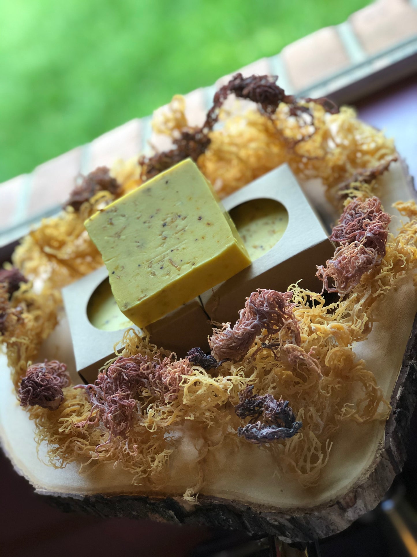 Lavender & Eucalyptus Sea Moss soap