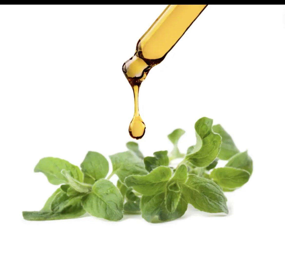 Oil of Oregano Anti Viral