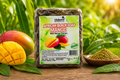 RAWAFRICAN BLACK SOAP ( Mango)