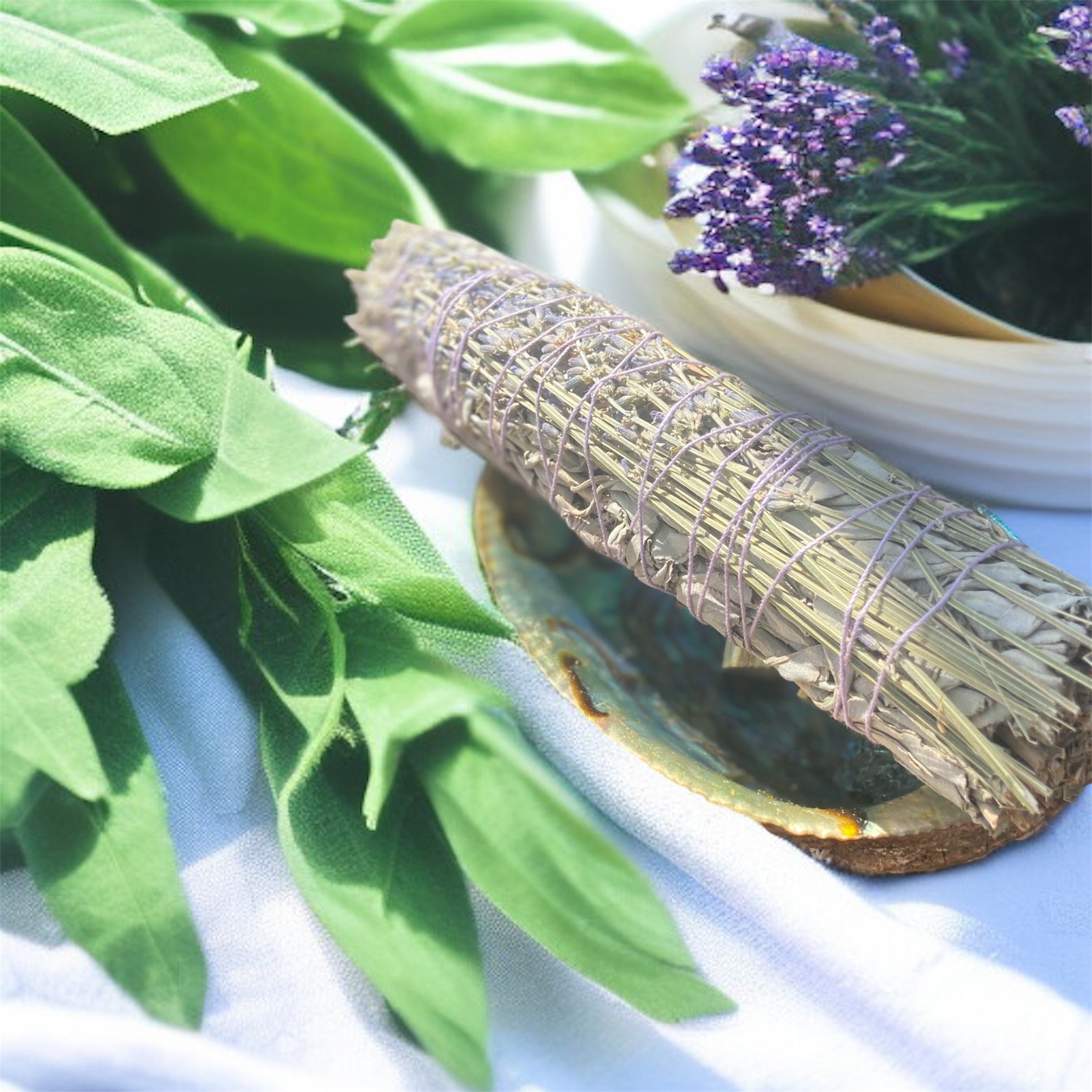 Jumbo sage bundle