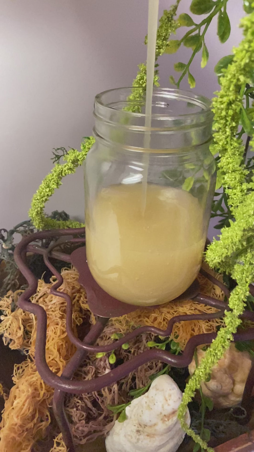 Sea Moss Regular
