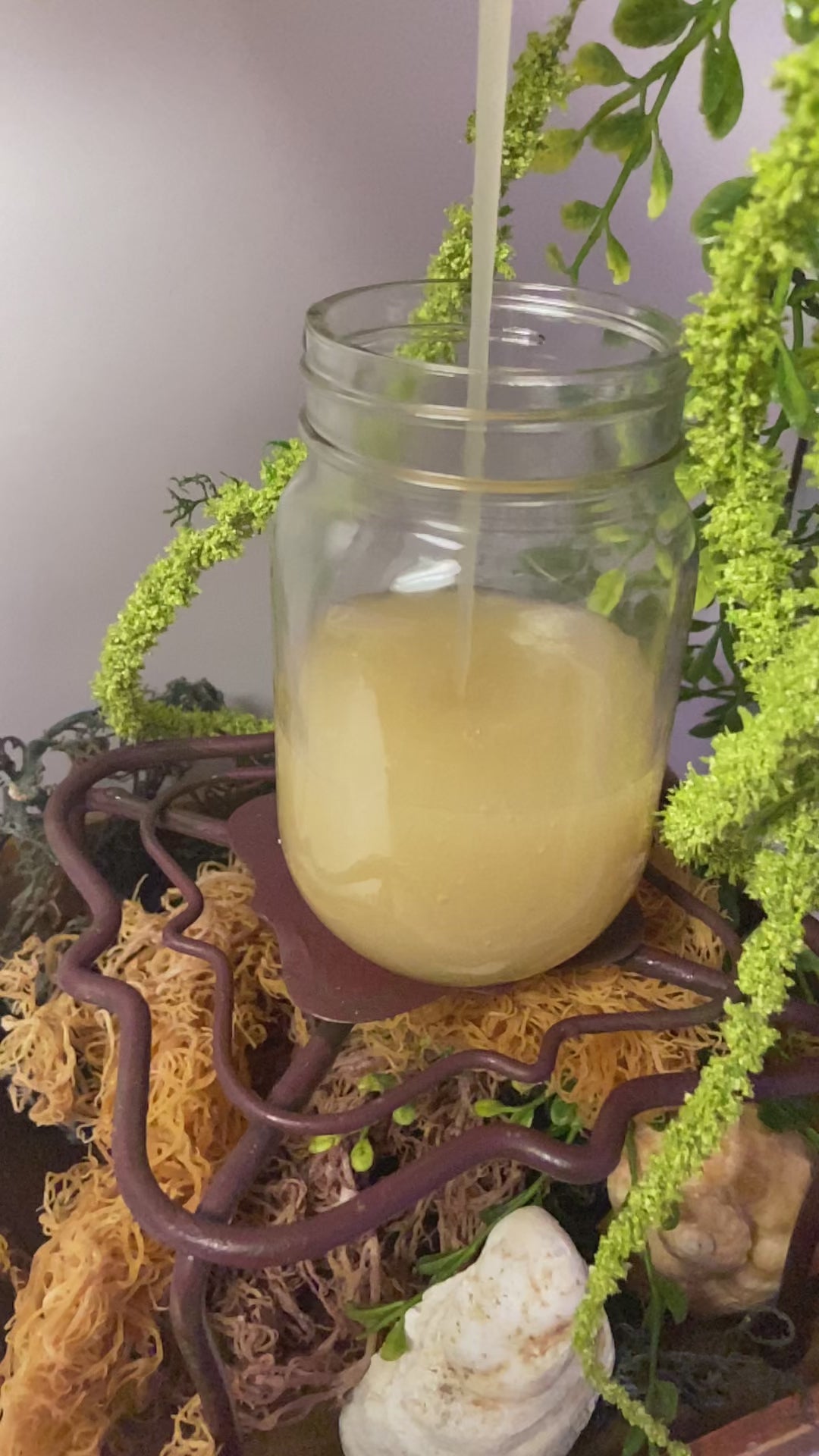 Sea Moss Regular